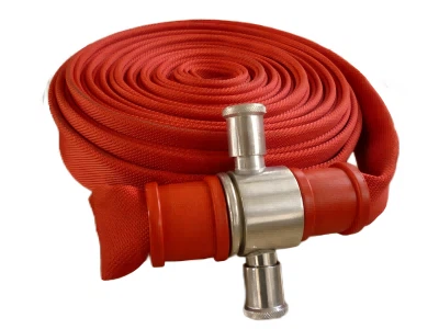 P1010196111 P1010196111